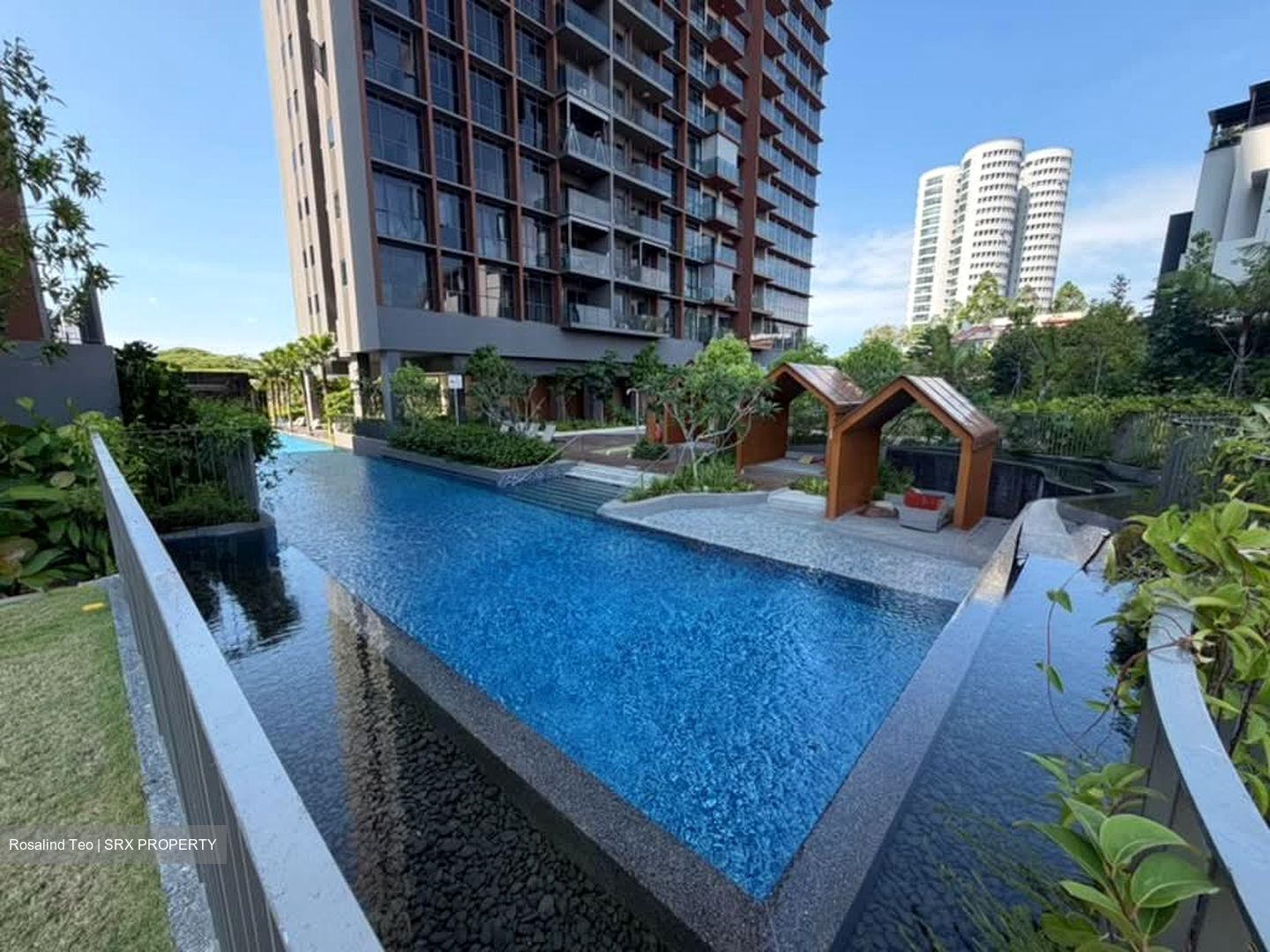 Amo Residence (D20), Apartment #557904911